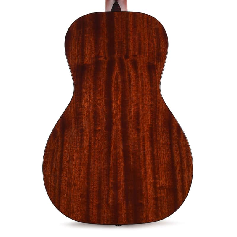 Immagine Eastman E1P-DLX LTD Bluesmaster Parlor - 4