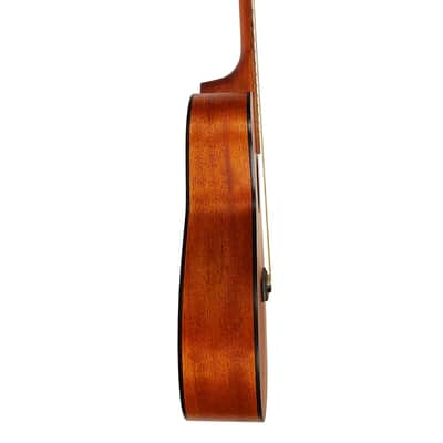Berkeley Souvenir Acoustic Guitar image 3