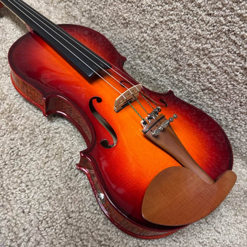 Immagine Sanatoga Electric Violin Outfit 4/4 - 1