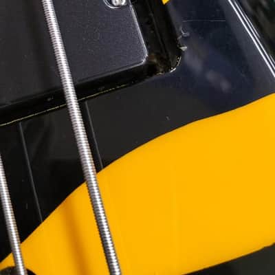 Aria Pro II Bass ZZB Deluxe Tiger Zebra Stripe image 8