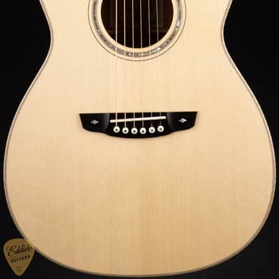Goodall Parlor 14 Fret - Adirondack Spruce & Beeswing Mahogany image 3