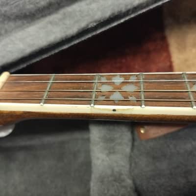 Gold Tone TS-250 4-String Flat Top Resonator Tenor Special Banjo image 3