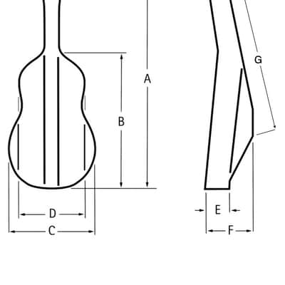 Double Bass: Vittorio Bertelli, Italy, 2003 3/4 image 9