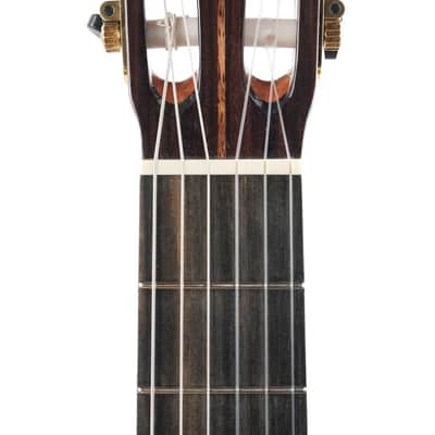 Mach Concert Standard Spruce Rosewood image 2