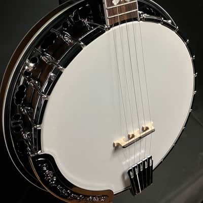 Gold Tone BG-150F 5-String Bluegrass Banjo w/ Flange Tobacco Sunburst w/ Gig Bag image 5