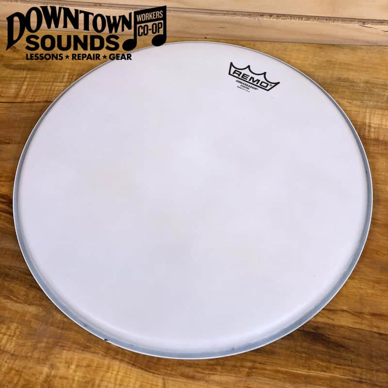 Remo 14" Coated Ambassador Batter Drumhead image 1