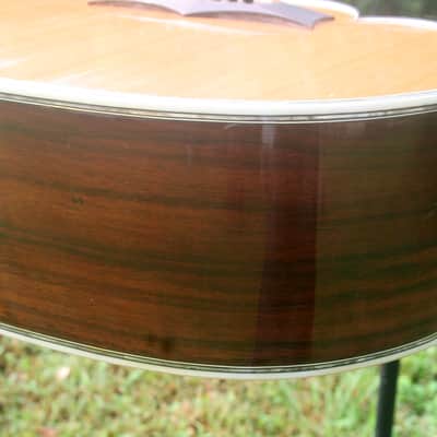 1977 Yairi YW600G Grammer Guitar Style New Jacaranda - Natural+Hard Case image 11