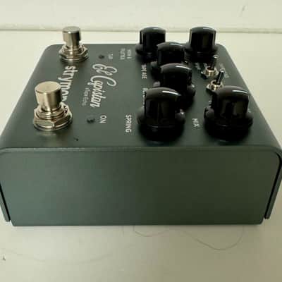 Immagine Strymon El Capistan V2 - 4
