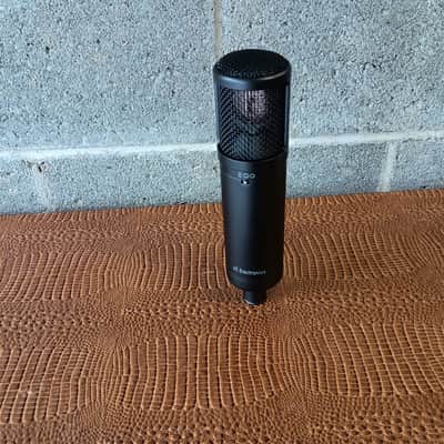 sE Electronics sE2300 Large Diaphragm Multipattern Condenser Microphone - Black image 6