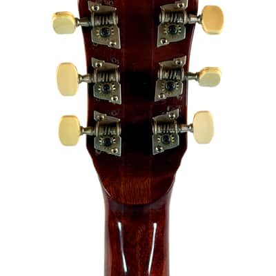 Banjo-Guitar EKO 1970's image 15