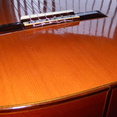 ANSELMO SOLAR GONZALEZ 1991 - MADRID SCHOOL CLASSICAL CONCERT GUITAR image 10