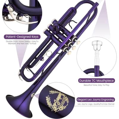 Bb Trumpet for Beginners, Brass Student Trumpet Kit with Case, 7C Mouthpiece, Cleaning Kit, Standard B Flat Instrument - Purple image 4