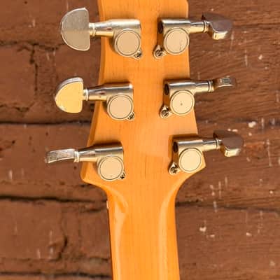Ampeg GUITAR Dan Armstrong Made in Japan (DA00030057) image 9