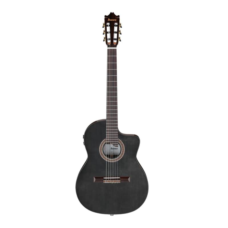 Ibanez GA3007CE Acoustic Electric Guitar with Hard Case (Natural High Gloss) image 1