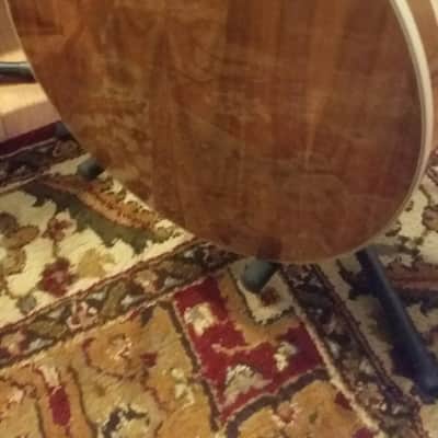 Fender Artist Banjo 1970's image 10