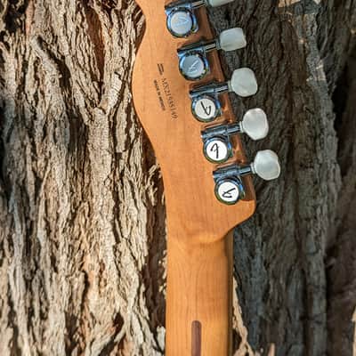 Fender Partscaster Telecaster Thinline Roasted Maple Neck Mahogany Semi-Hollow w/ Fralin Pickups image 5