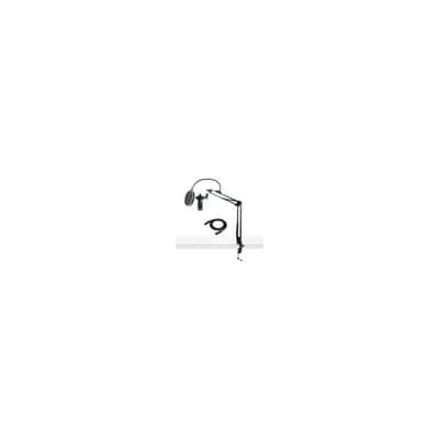 Audio Technica AT2035 Studio Condenser Microphone with Accessory Bundle image 9