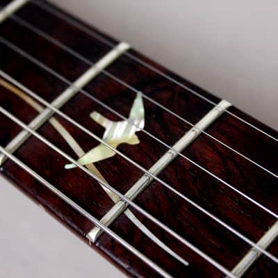 PRS USA Artist Package 20TH Anniversary Custom 22 "Brazillian Rosewood + Natural Burst" (2005) image 12