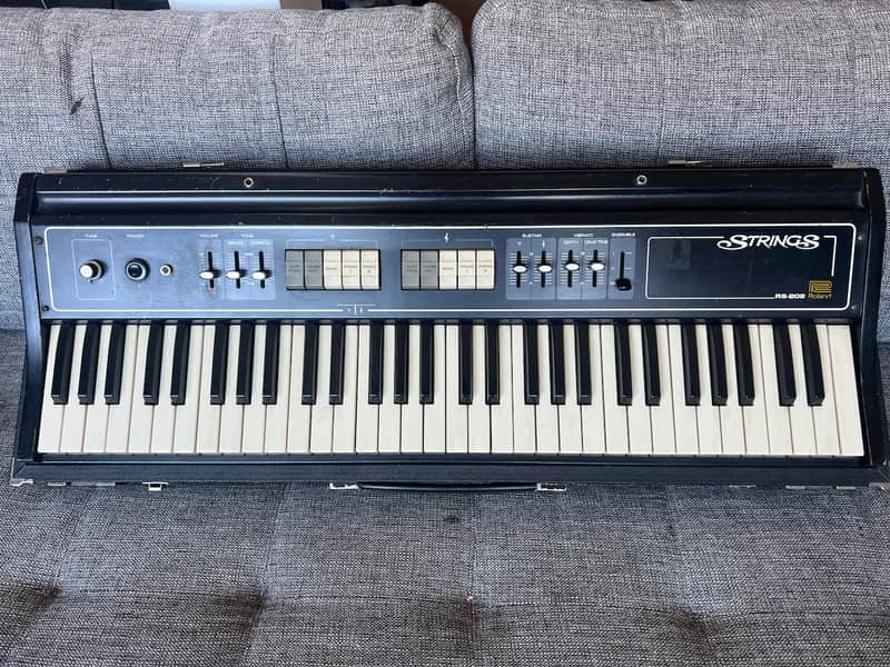 Roland RS-202 61-Key String Synthesizer 1976 - 1979 - Black