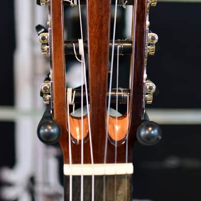 Cordoba Fusion 12 Natural Cedar Electro Nylon Guitar image 4