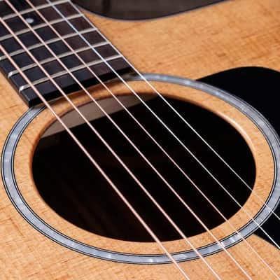Taylor 214ce Plus Grand Auditorium Acoustic/Electric Guitar with Aerocase image 7