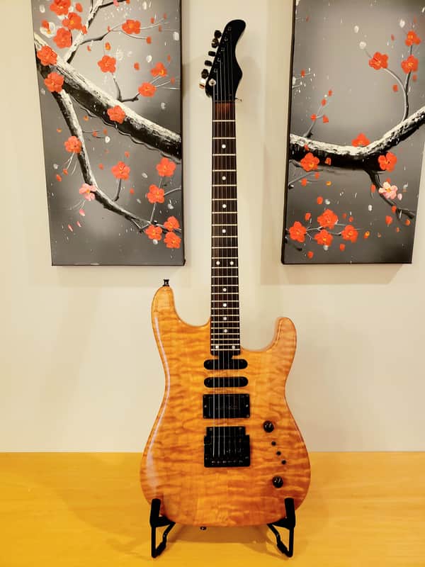Roscoe #2: 1984 custom stratocaster guitar image 1