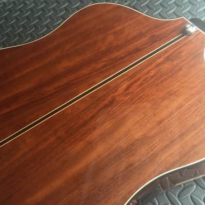 Extraordinary Near Mint Virtuoso Custom Telesis Bespoke 20 String Electro-Acoustic Harp Guitar image 18