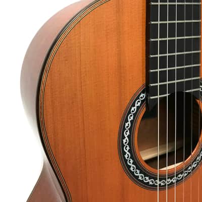 Cordoba C9 Parlor Luthier Series Nylon String 7/8 Classical Acoustic Guitar image 3