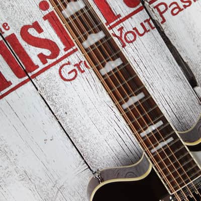 Gretsch 2013 G5422DC-12 Electromatic Hollow Body 12 String Electric Guitar with Case image 13