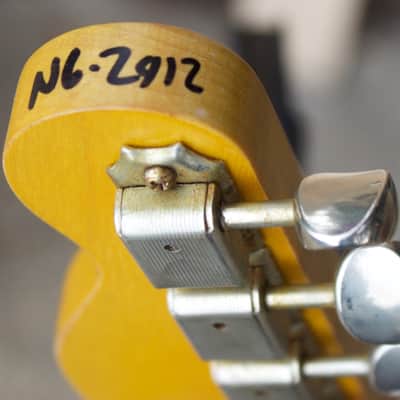 Nash T-63 2015 Purple Billy Gibbons-style image 11