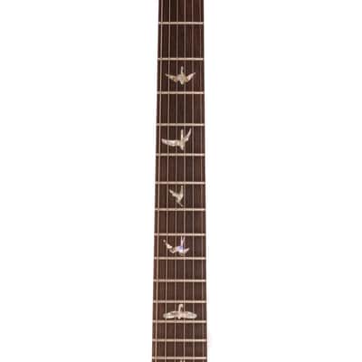 PRS Custom 24 Experience PRS LTD Edition 2007, Unplayed image 3