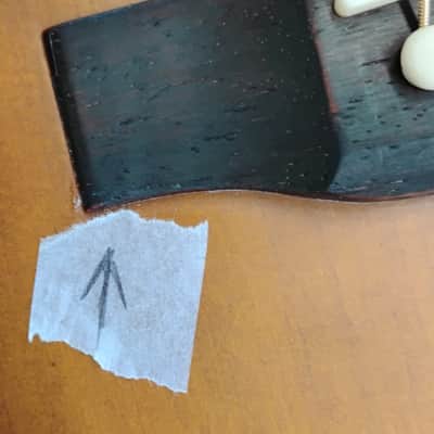 Recording King RGA-16R-CFE5 Road King Grand Auditorium Acoustic Electric Guitar image 2