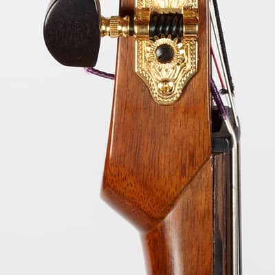 2013 Long Neck Tarhu by Peter Biffin, Mint Condition, w/Case, Super Rare! image 7