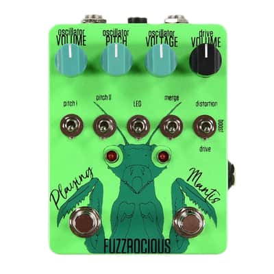 Fuzzrocious Playing Mantis