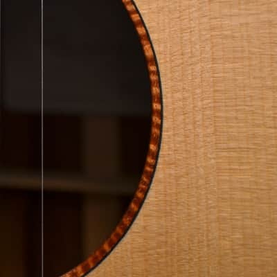 Baden - American Made TJ Baden Guitar Madagascar image 10