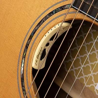 Cort Gold Edge Acoustic-Electric w/ Case, Grand Auditorium Torrefied Solid Spruce Top 1 3/4"(45mm) Nut, Mint image 8