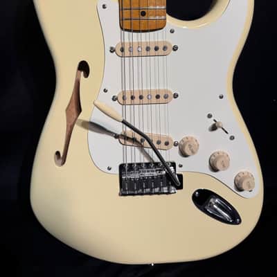 Fender Eric Johnson Partscaster - US Body Mexican 50s V neck with 11 Custom pickups image 3