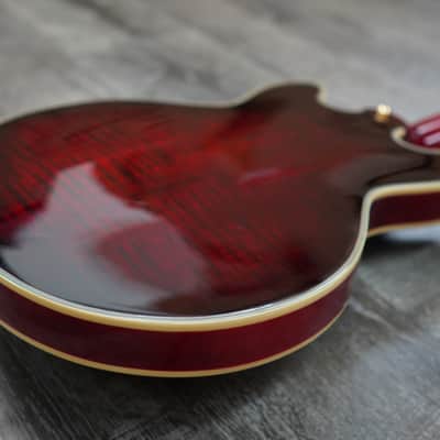 Double Cut Semi-Hollow Small Body Guitar - Red Burst image 12