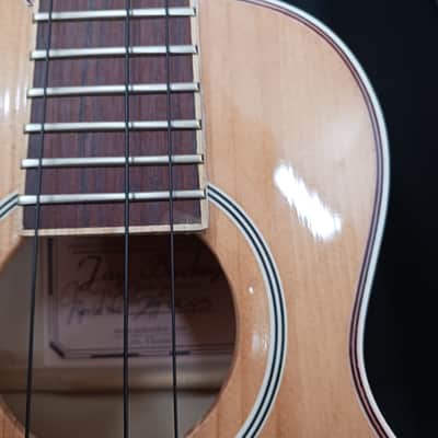 Jay Buckey (handmade in Ukraine) Ukulele Harp dyer style  2010s - Wood image 5