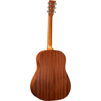 Martin DSS Biosphere II Acoustic Guitar w/SS image 5