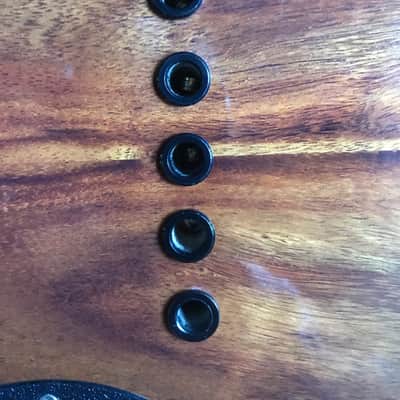 Rick Turner RB5 Fretted 2015 Gloss Renaissance Bass image 6