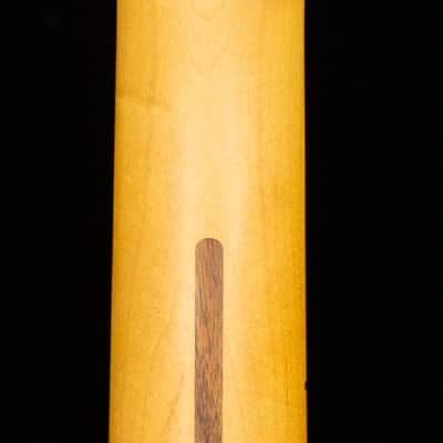 Fender American Professional Classic Telecaster Maple Fingerboard Faded Lake Placid Blue (015) image 6