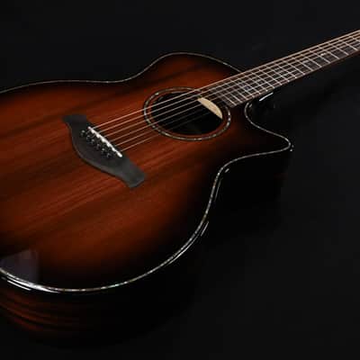 Taylor Builder's Edition 914ce LTD Macassar 039 image 3