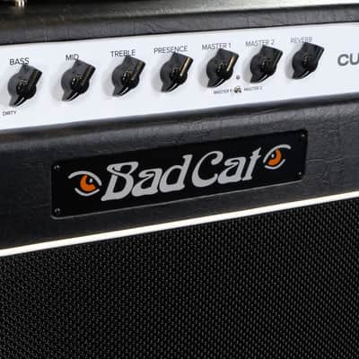 Bad Cat Cub 15 Mod Shop Edition image 7