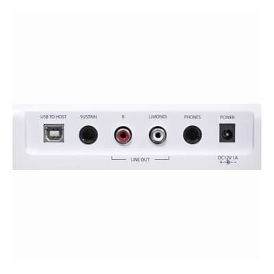 Artesia PE-88 WH - Digitalpiano Weiss image 4