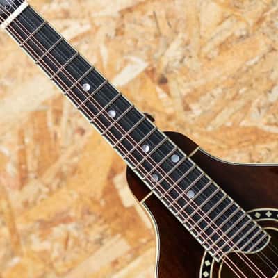 Eastman MD504 2022 imagen 6