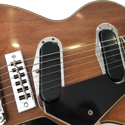 Gibson Les Paul Recording 1973 Walnut image 13