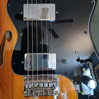 Partscaster Fender '72 Thinline Telecaster image 17