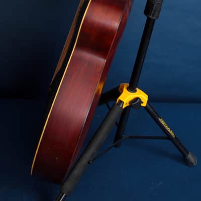 Gibson U-Style Harp Guitar / 1908 / The Shape of Things to Come? image 13