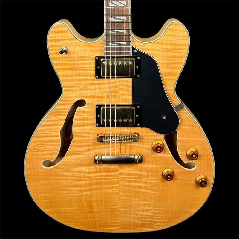 Washburn HB35 Hollowbody Electric Guitar in Natural image 1